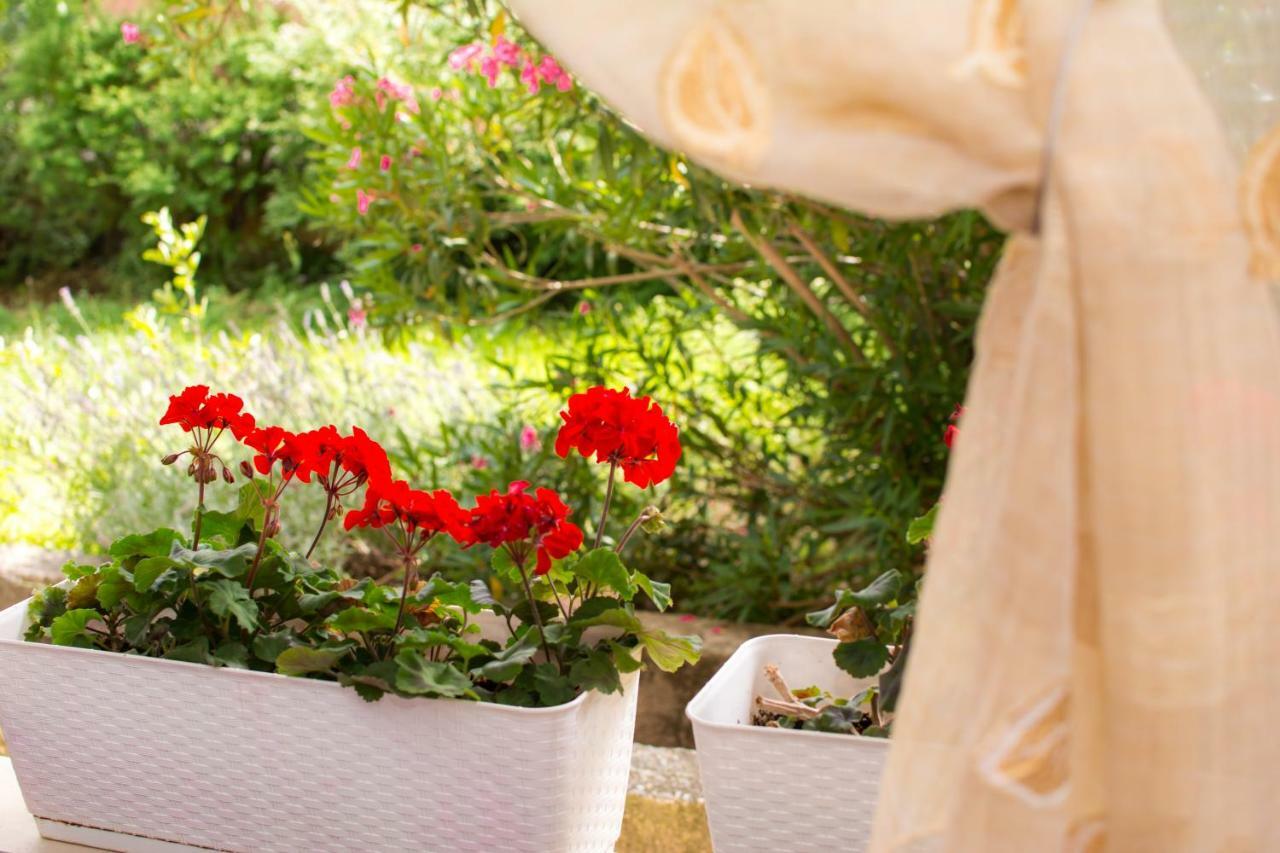 Apartment Vida - Amazing Place With Garden And Terrace Ριέκα Εξωτερικό φωτογραφία